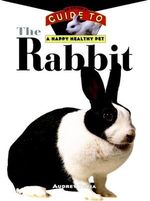 cover image of The Rabbit